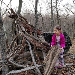 Building a House