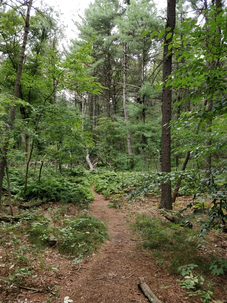 IMG 20180908 144122