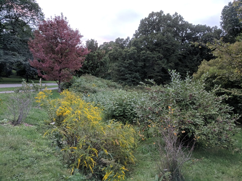 IMG 20180919 183519