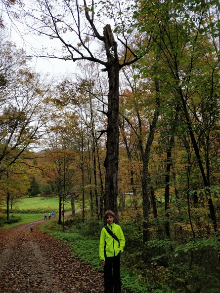 IMG 20181007 111742