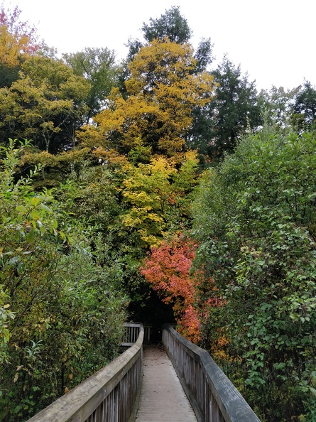 IMG 20181007 150607