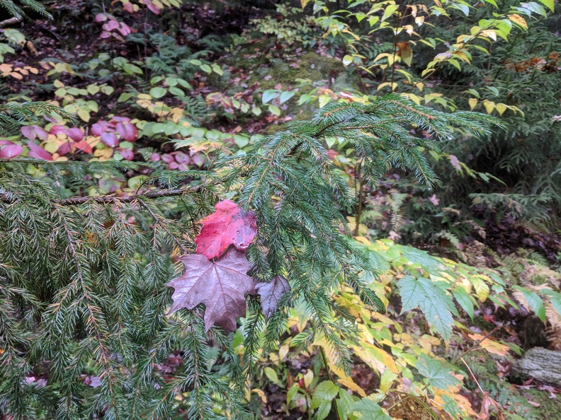 IMG 20181007 150945