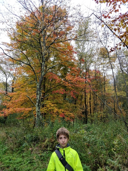 IMG 20181008 114603