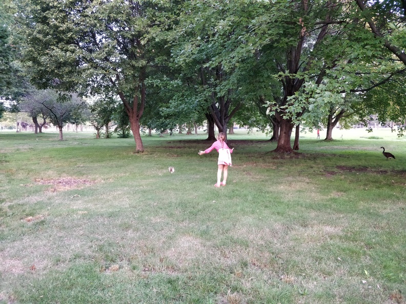 IMG 20180820 192421