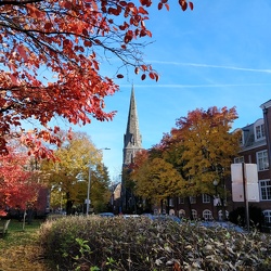 Cambridge and Harvard