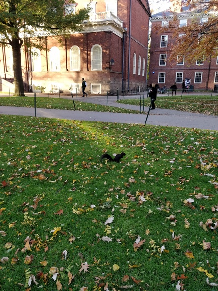 IMG 20181104 153151