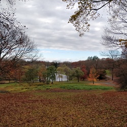 Larz Andersen Park