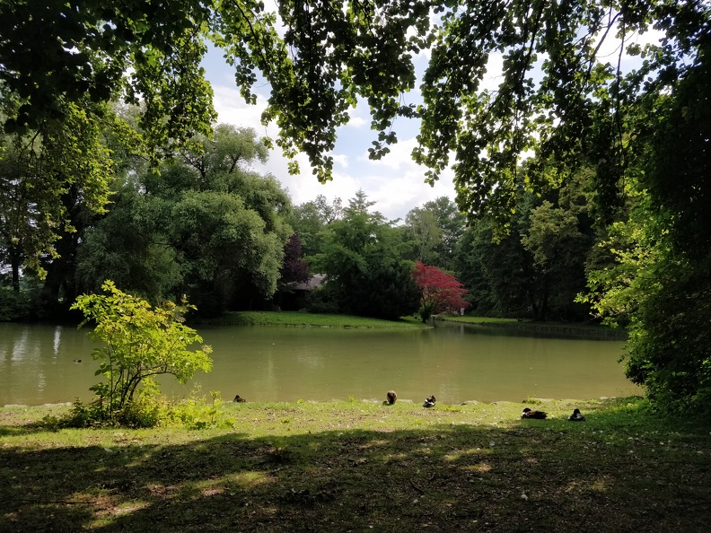 IMG 20180621 105905
