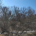 IMG 20190216 122804