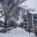 IMG 20190218 065547