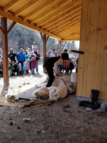 IMG 20190330 110857