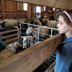 Drumlin Farm