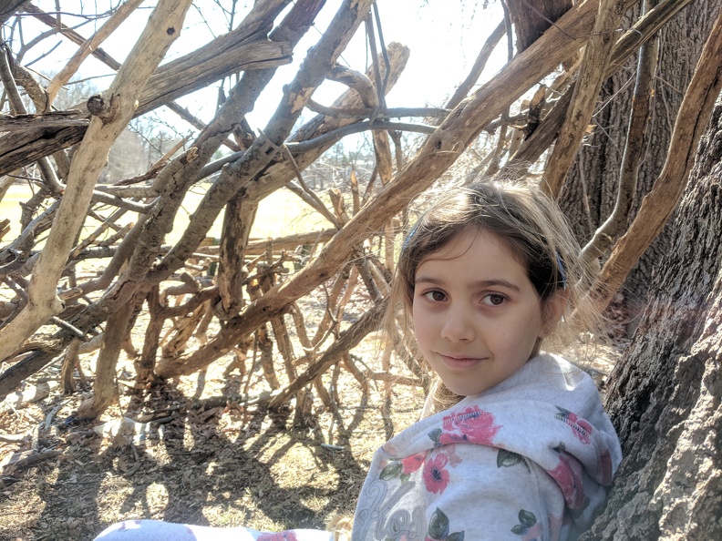 IMG 20190324 120908