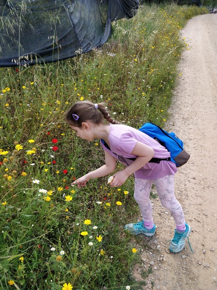 IMG 20190418 144707