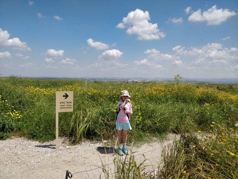 IMG 20190419 120459