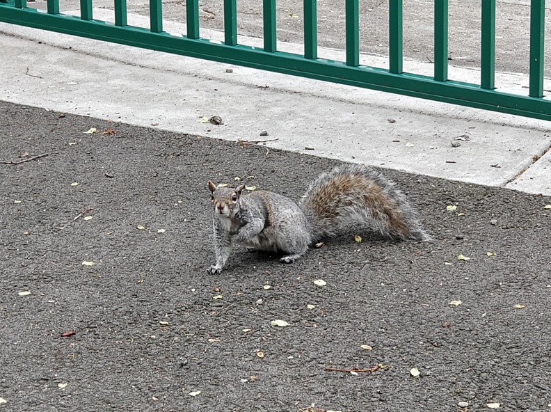 IMG 20190505 172304