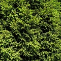 IMG 20190518 144026
