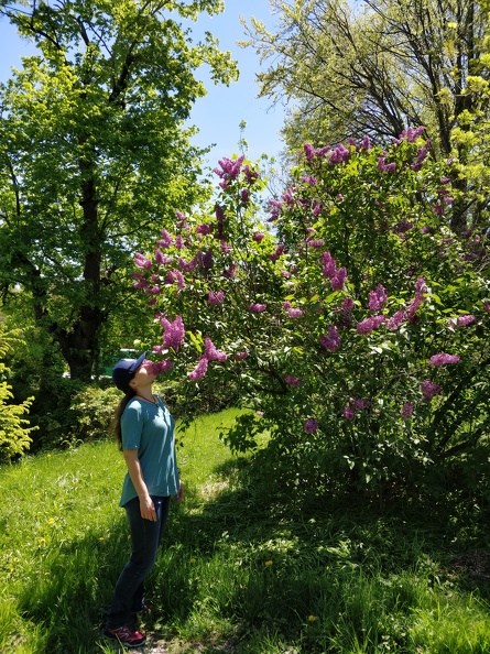 IMG 20190518 120206