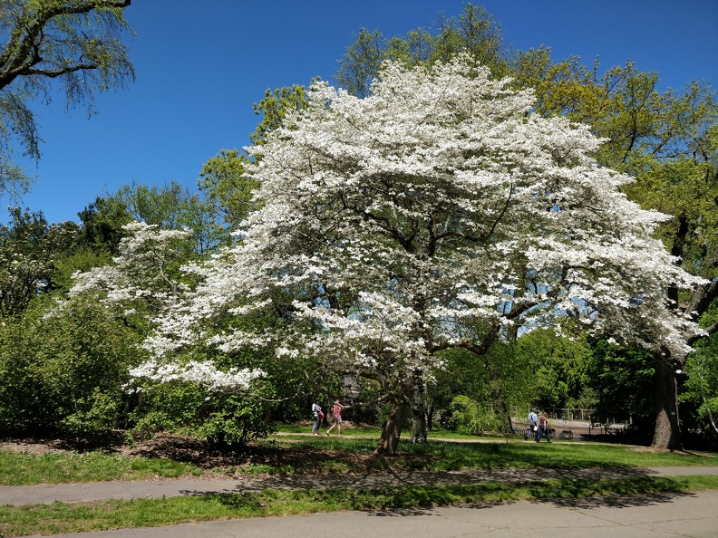 IMG 20190518 130507