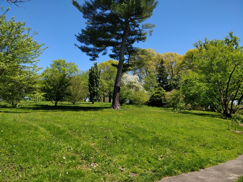 IMG 20190518 131939