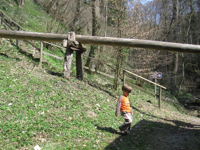 IMG_1379